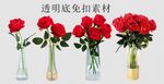玫瑰