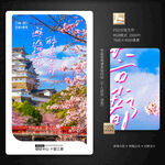 樱花节