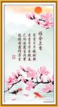 玉兰花开