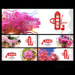 杜鹃花