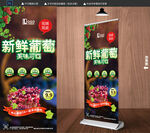 葡萄园展架