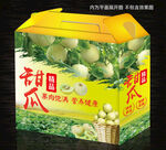 甜瓜包装礼盒平面图