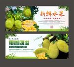 菠萝蜜