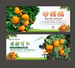 砂糖橘