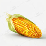 卡通玉米