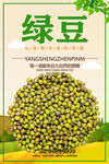 绿豆