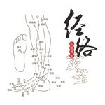 中医经络图