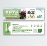 桑葚水果采摘优惠券