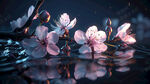 粉色桃花