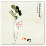 荷花装饰画