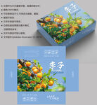 李子包装 水果盒子