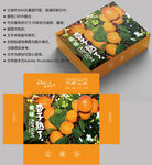杏子包装 水果盒子