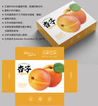 杏子包装 水果盒子