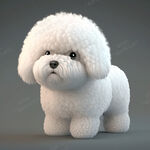 比熊犬