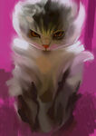 猫猫