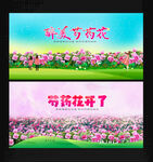 芍药花