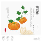 南瓜子 插画