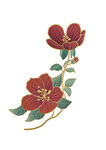 矢量花朵素材