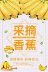 香蕉