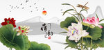 荷花国画荷花