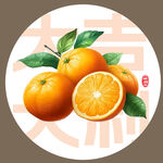 桔子插画