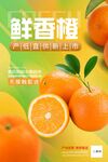 鲜香橙