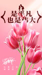 母亲节海报