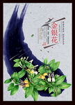 金银花