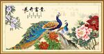 花开富贵 