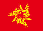 飞龙图案