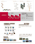 企业发展历程