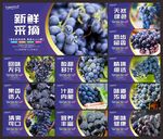葡萄