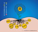 痔疮根部图