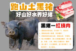 跑山土黑猪 红烧肉 好猪肉