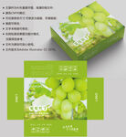 阳光玫瑰 葡萄包装