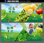  新鲜蔬菜 