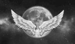 星空翅膀