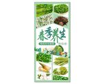 养生菜