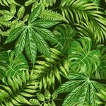  绿色植物 蕨类植物 手绘叶子