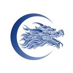 龙图案
