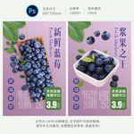 蓝莓海报