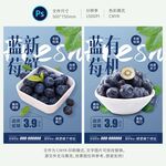 蓝莓海报