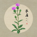 手绘飞廉 