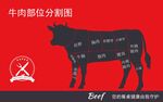 牛肉海报
