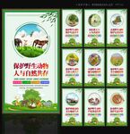 保护野生动物