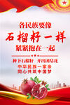 石榴籽精神民族团结海报
