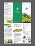 茶  三折页