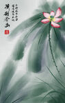 荷花