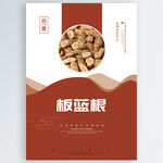 板蓝根