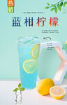 蓝柑柠檬  
